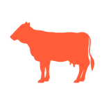 Type Icons.png