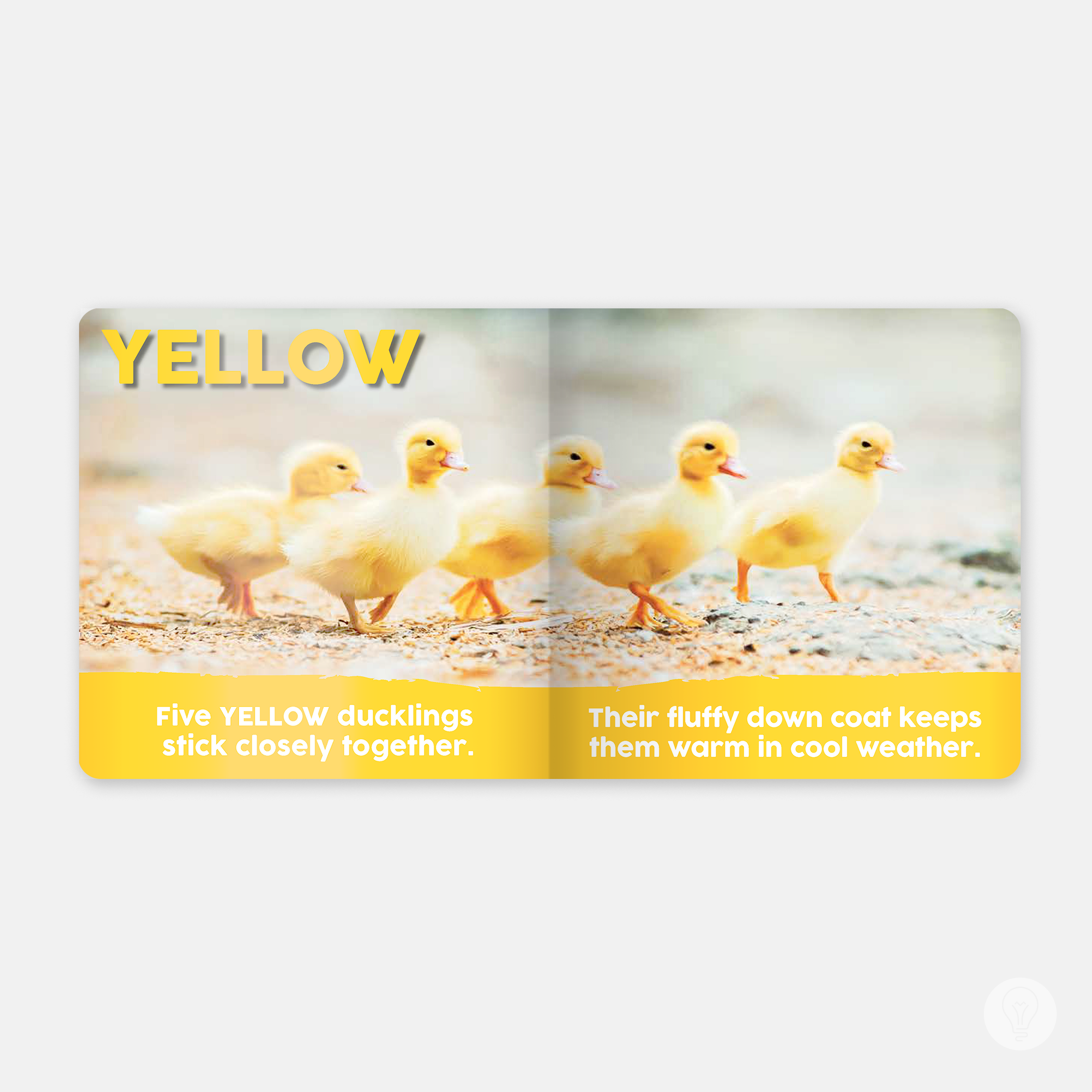 Baby Animals First Colors — the collective book studio®