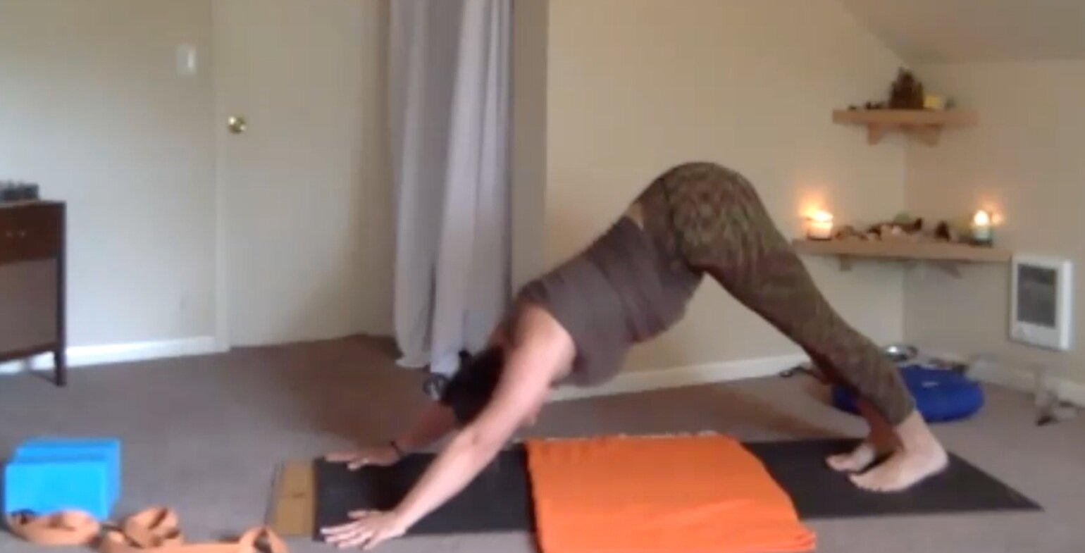 Quarantine Class: Study of Sun Salutations, Aries Shark Crescent