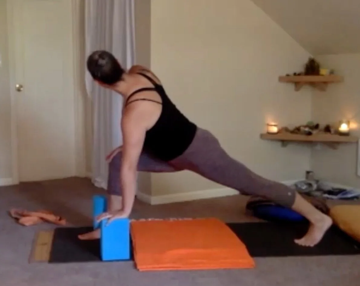 Quarantine Class: Belly + Low Back + Hips, Virgo Mouse Half Moon