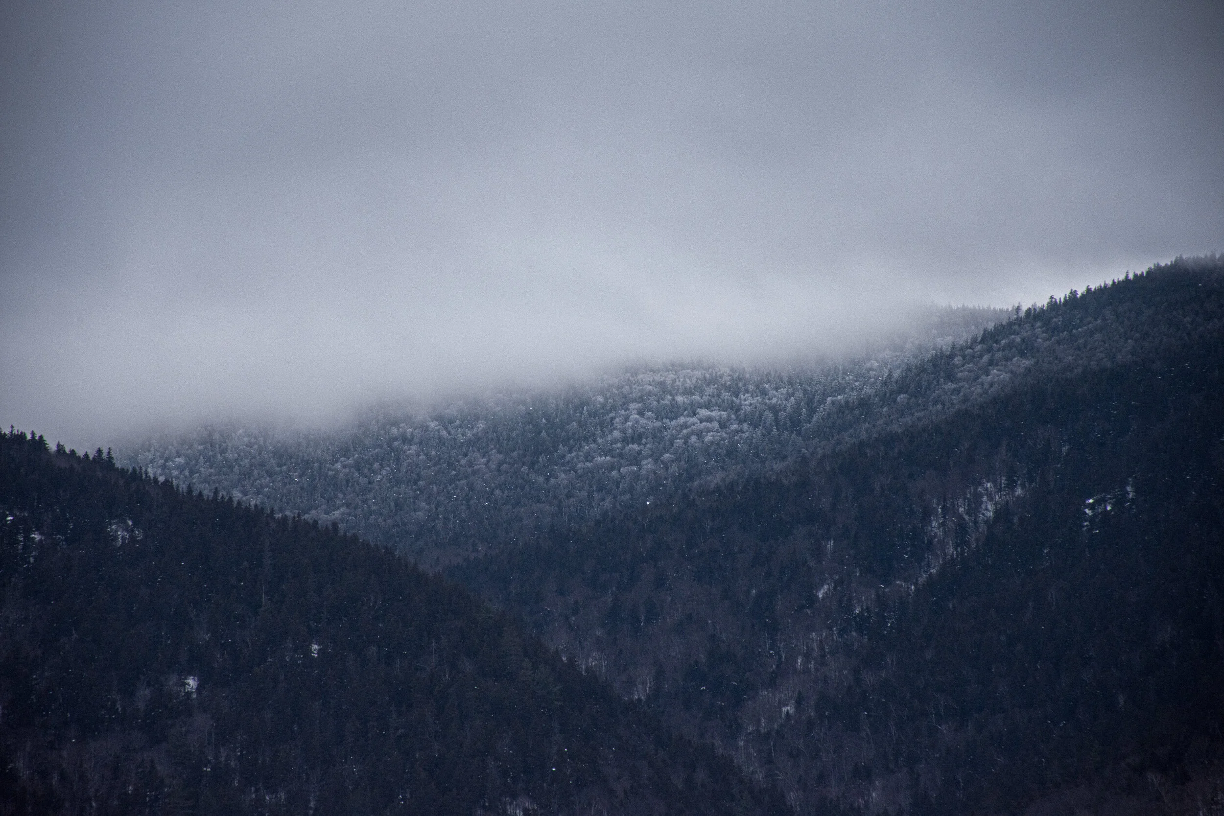 DSC_7988.jpg