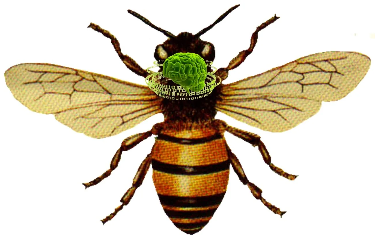 Templeton World Charity Foundation Grant Awarded.