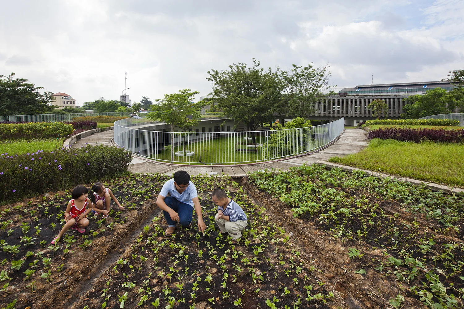 18_experimental_vegetable_garden.jpg