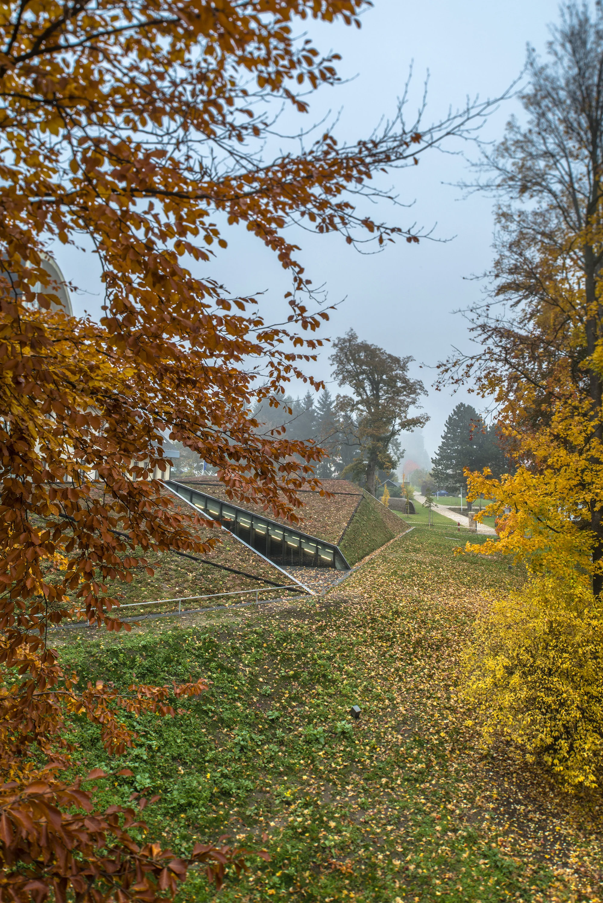 05_DSC_3604.jpg