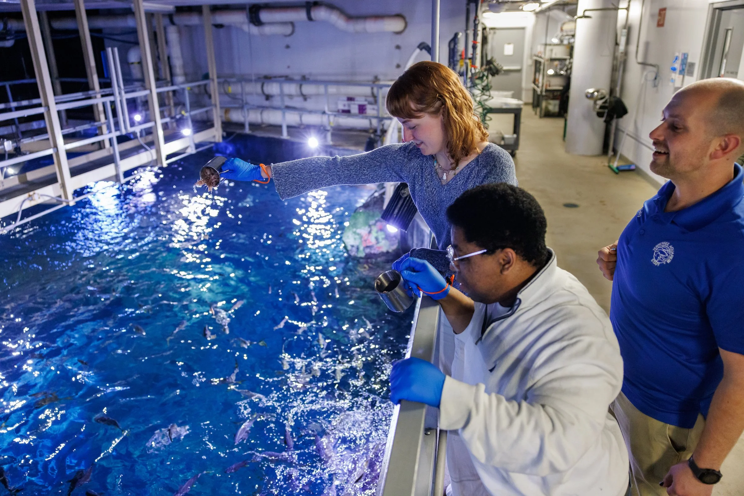 Deeper Dives: Feeding Frenzy at the Tennessee Aquarium