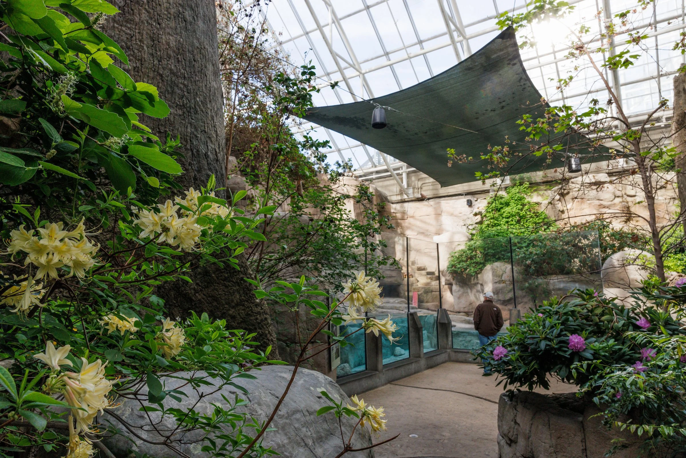 A Plant Lover's Dream at the Tennessee Aquarium