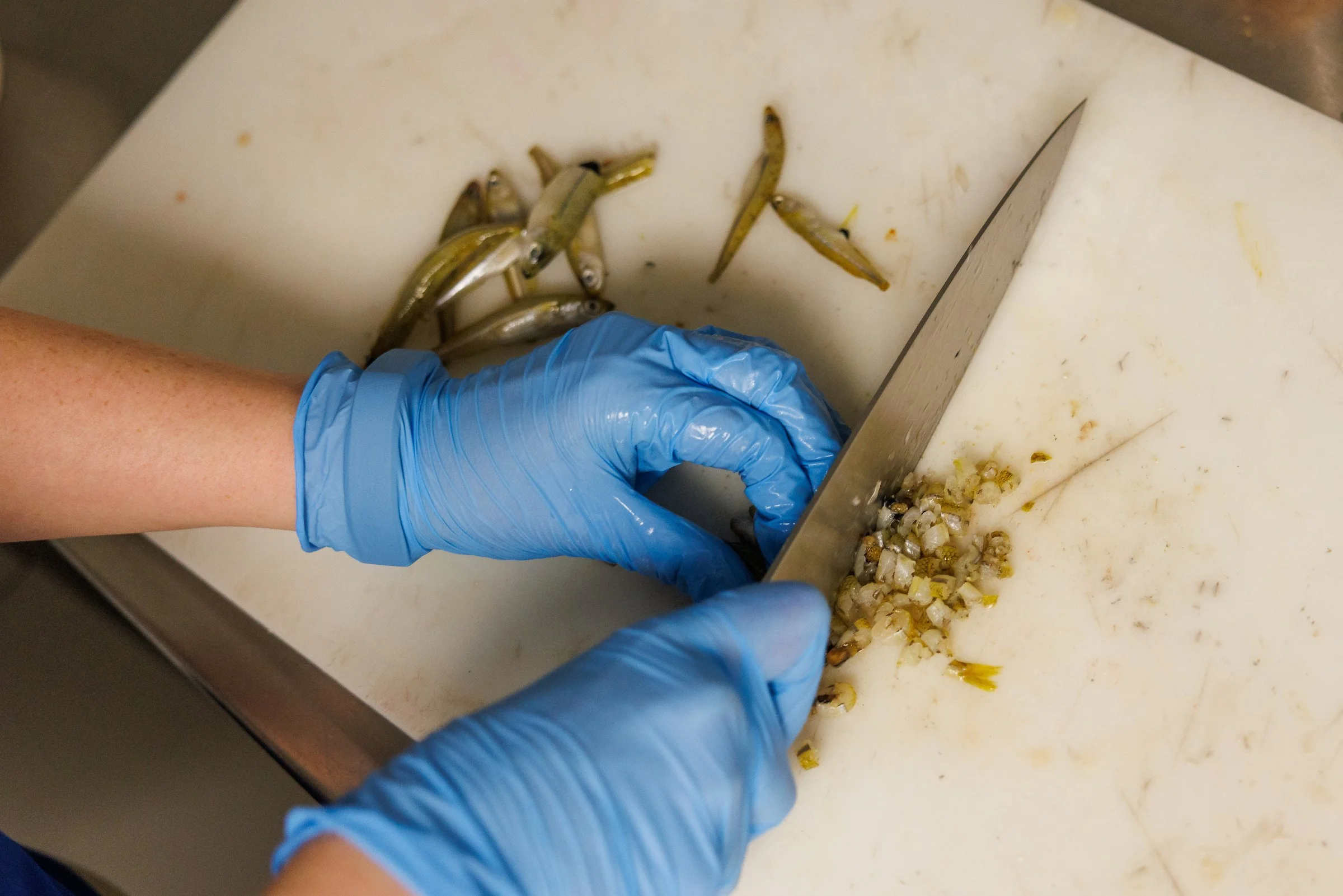 Food prep in the Aquarium kitchen for freshwater fish