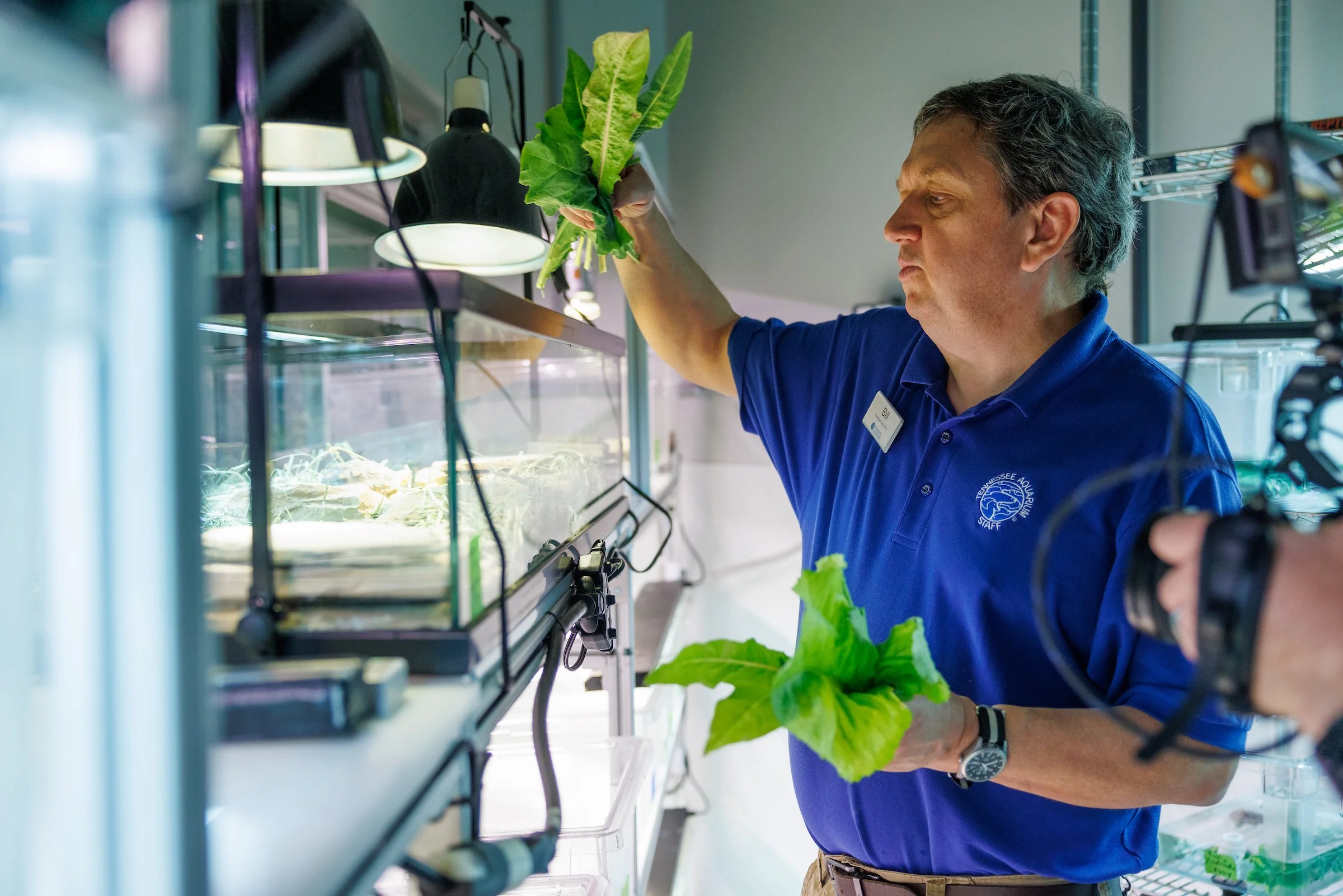 Food prep in the Aquarium kitchen for reptiles
