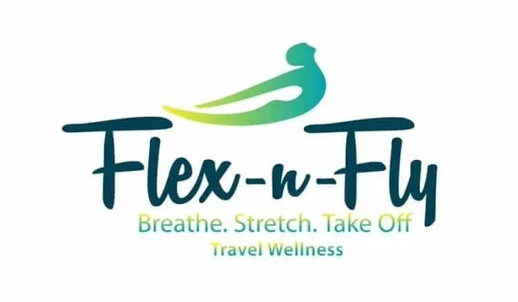 flexnfly logo.webp