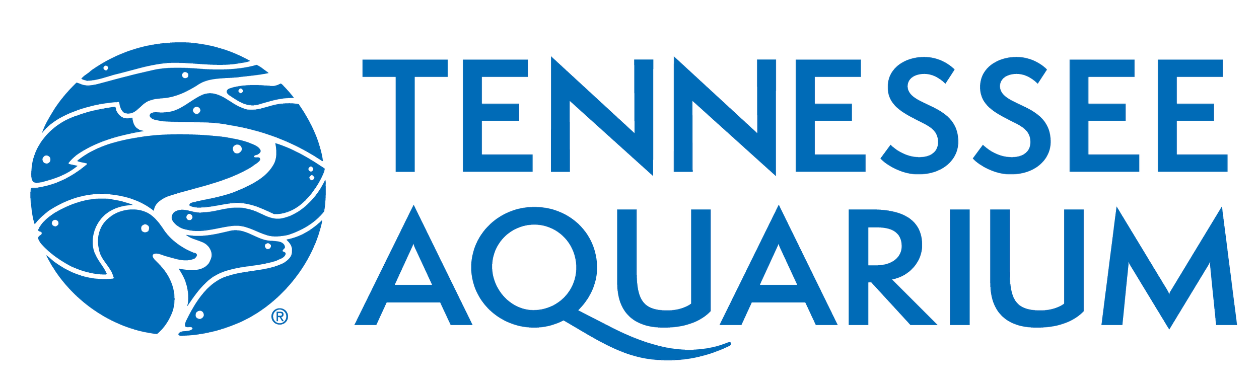 tennessee aquarium.png