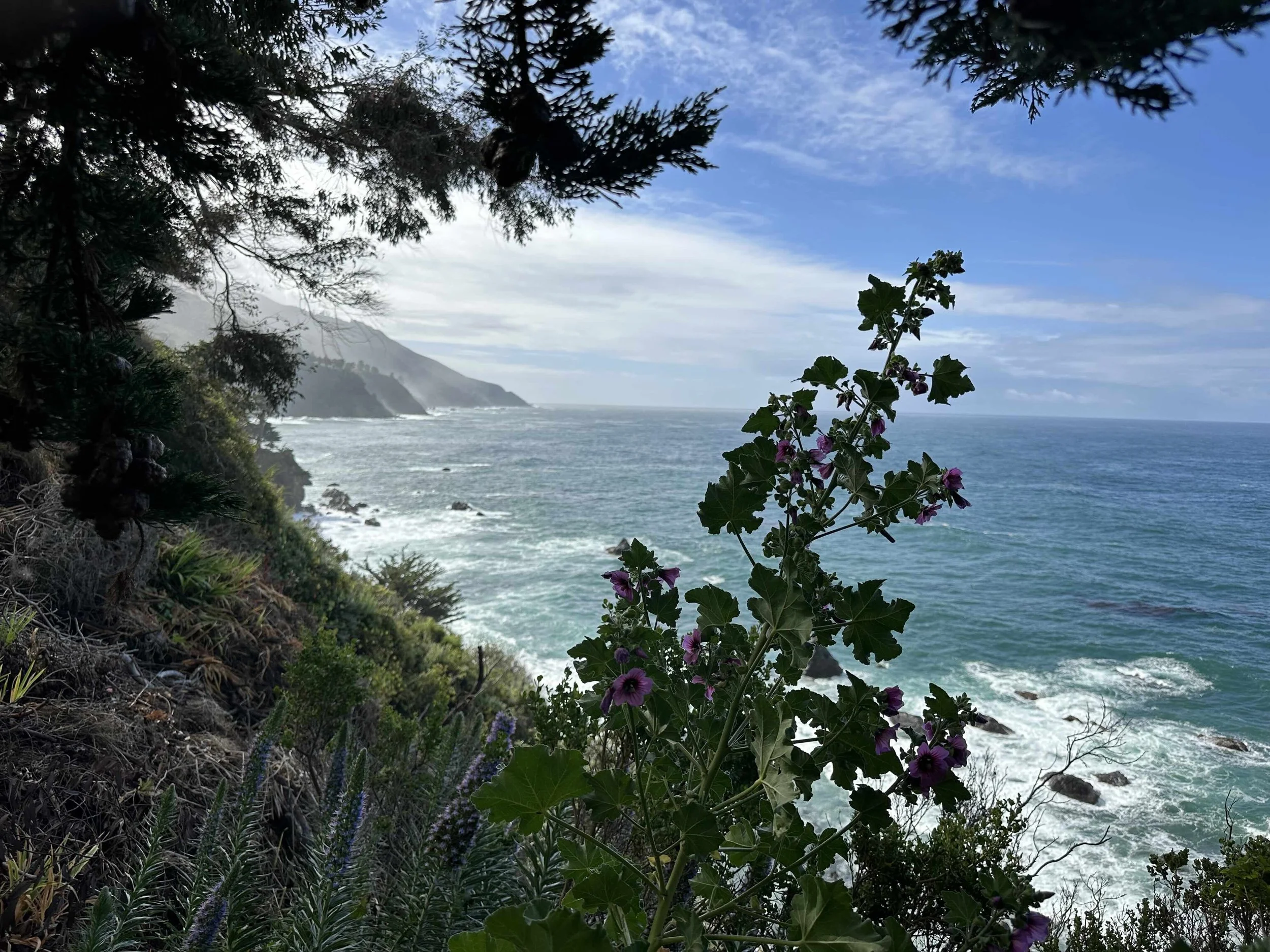 Field Trip: Big Sur