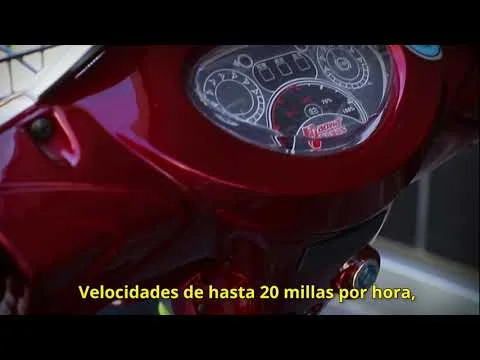 PHOENIX ELECTRIC BIKE CO.