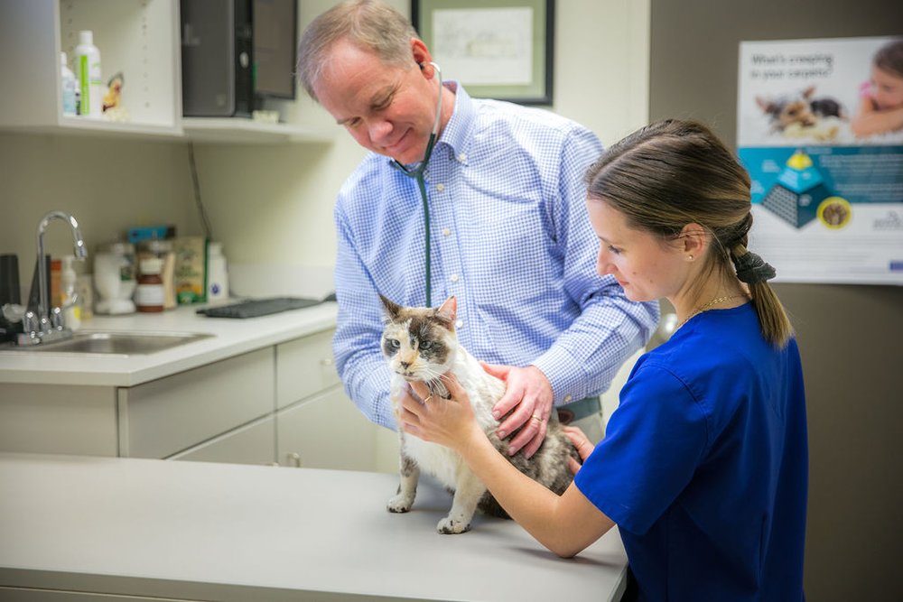 Village Veterinary Clinic