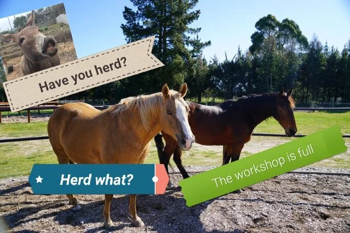 Christchurch Workshop Full.jpg