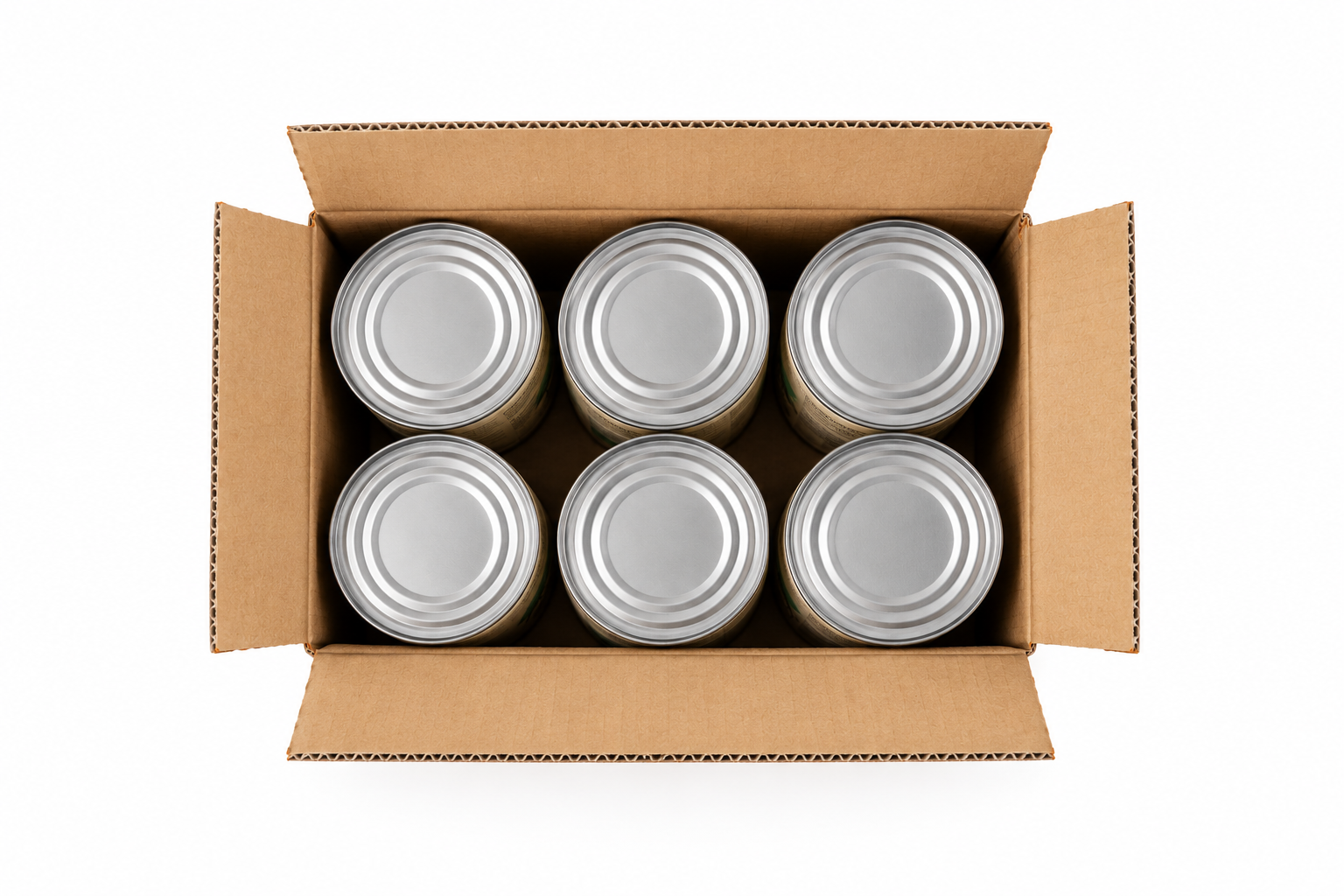 Open Shipping Box with Six Metal Cans.png