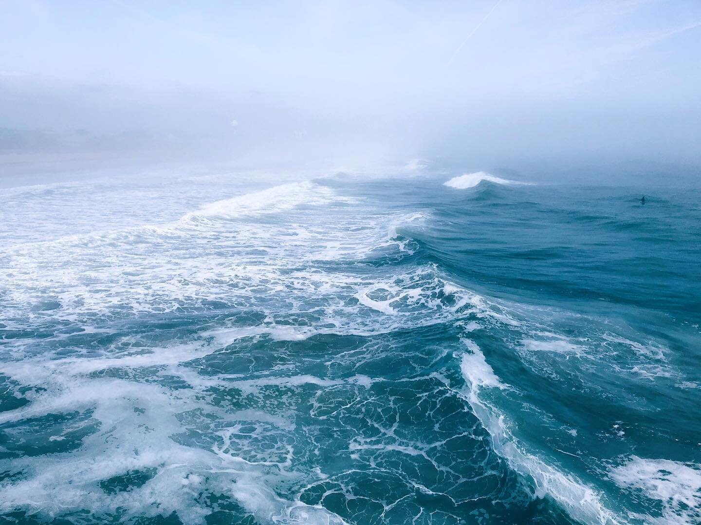 We have approached the United Nations Ocean Decade and are left with 10 years to help &ldquo;reverse&rdquo; the damage of human activity and its influence on climate change. We are declaring an Ocean and Climate emergency!

Climate change has been re