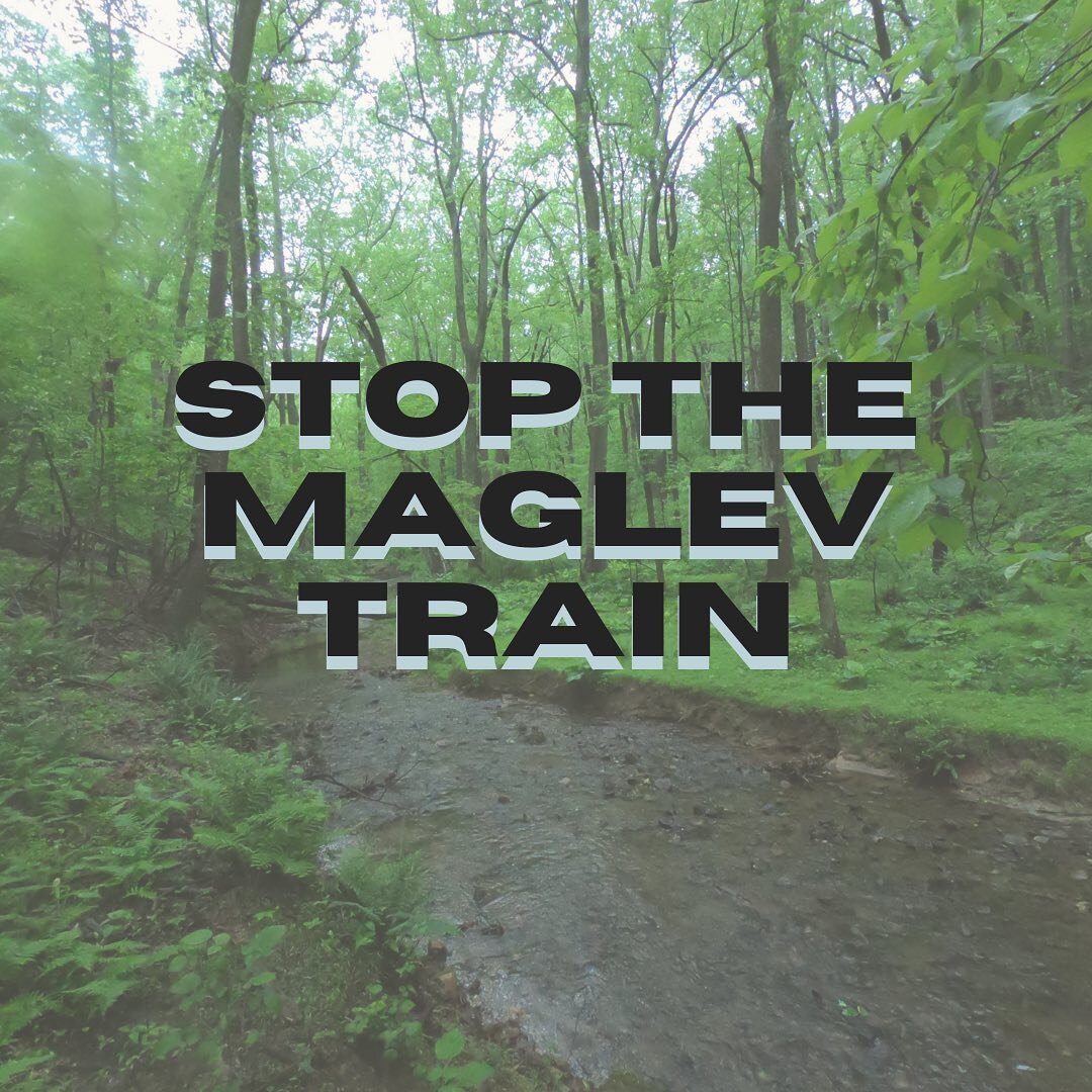 Have you heard? Maryland has proposed a train system connecting Baltimore, MD and Washington, D.C. Spanning 40+ miles, the Maglev Project would destroy more than 200 acres of land including the Greenbelt Forest Reserve and the Patuxent Research Refug
