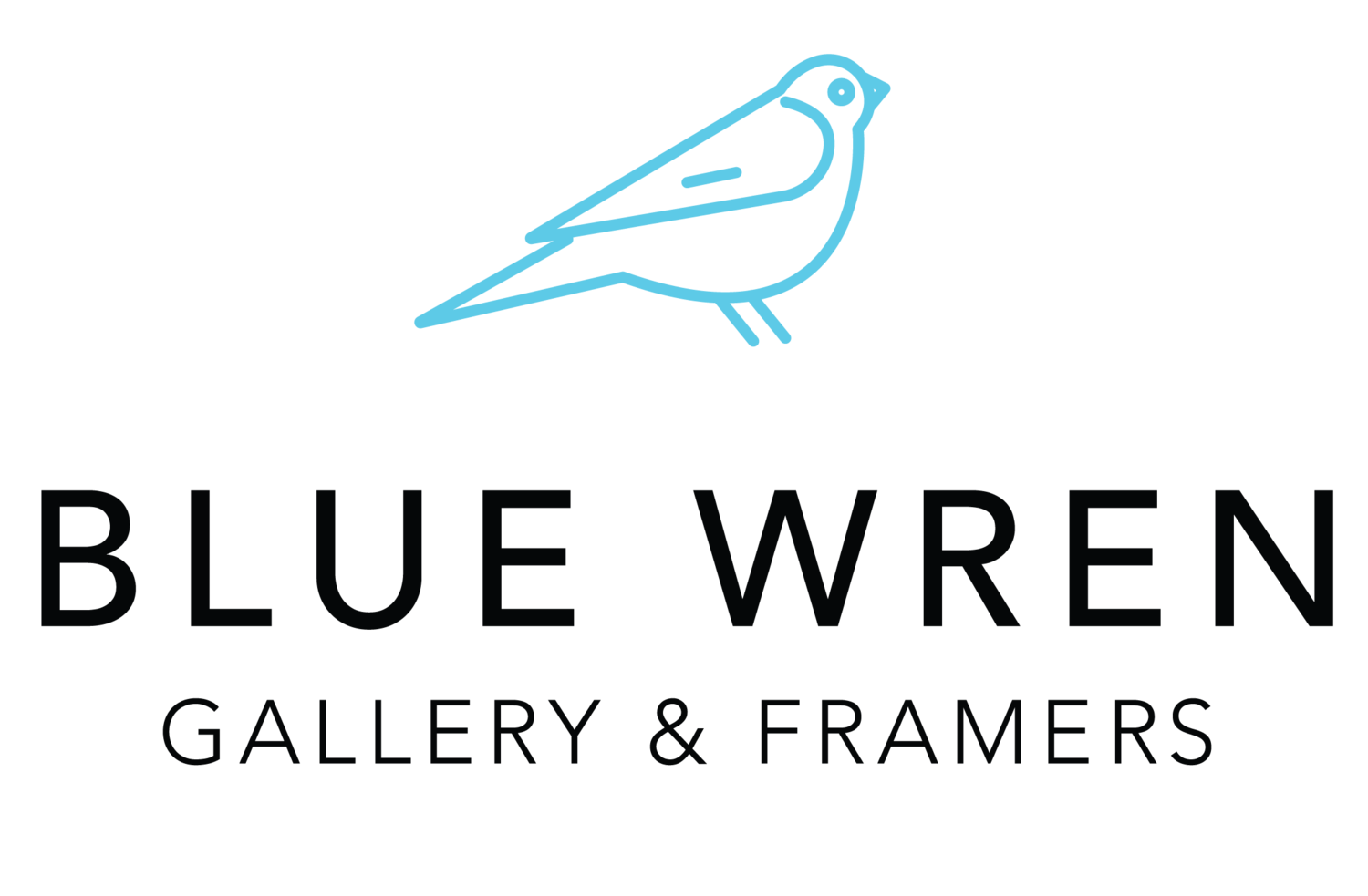 Blue Wren