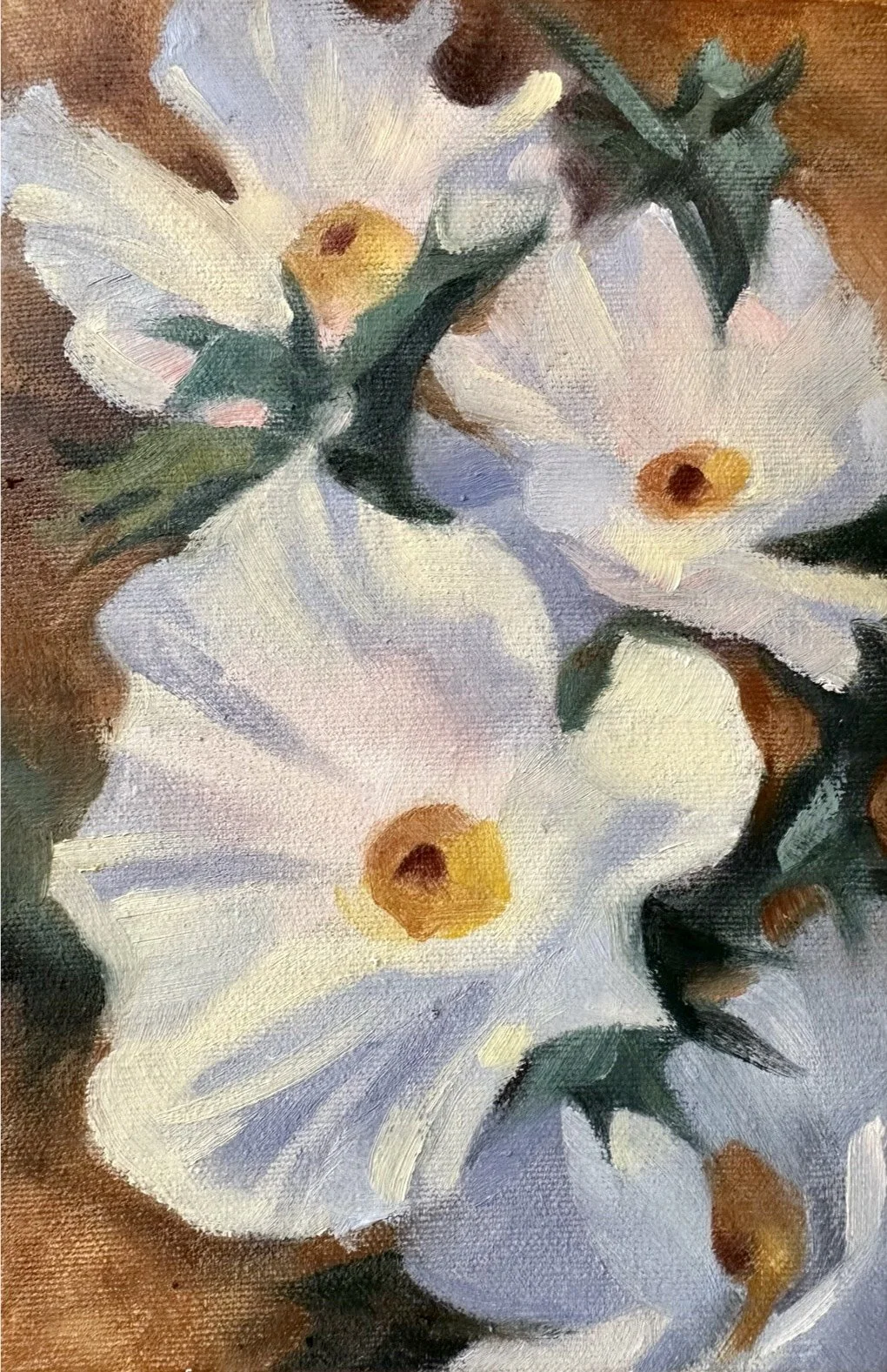 Whitagram-Image (1).jpeg