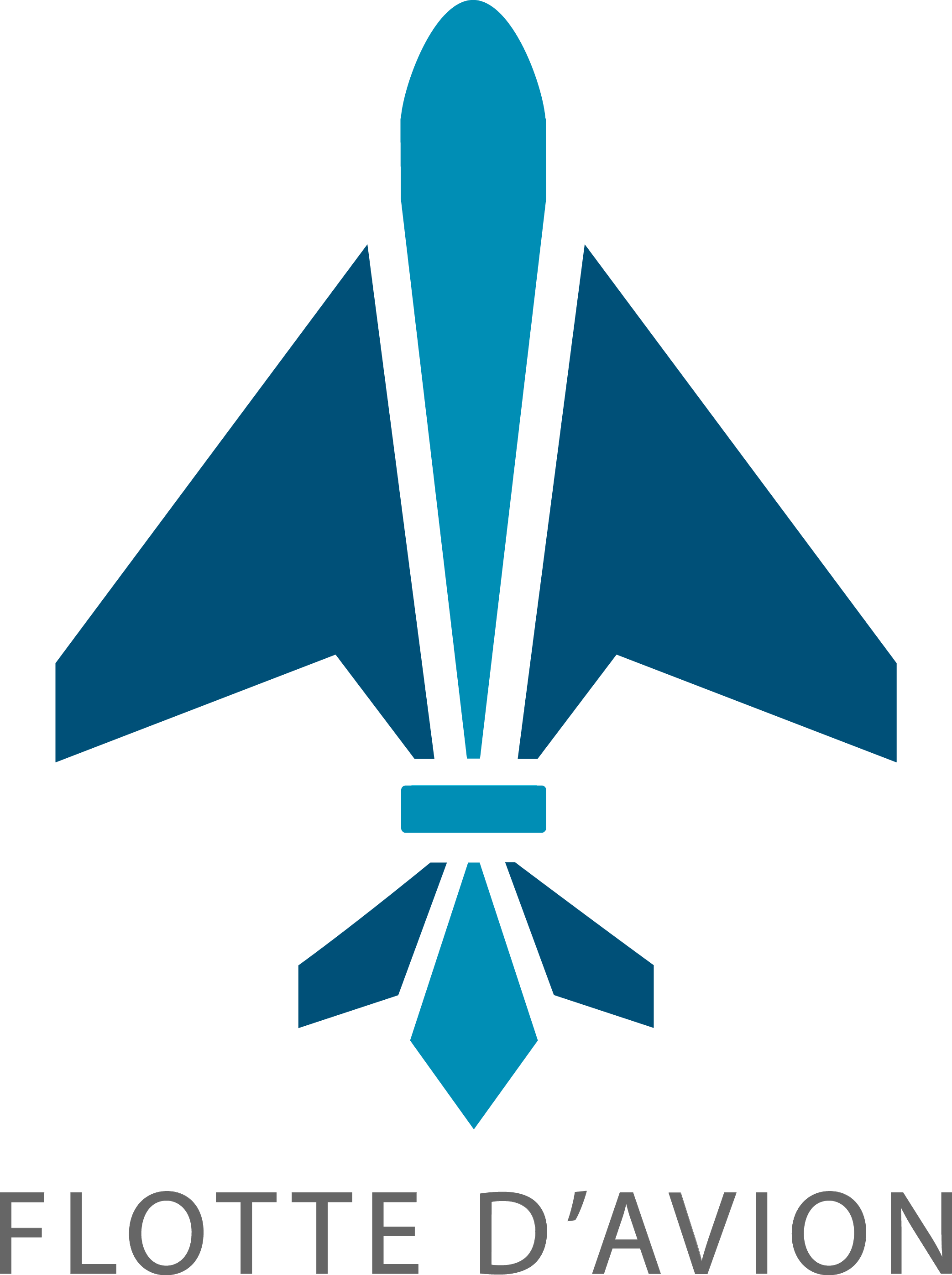 flotte-du-avion.png