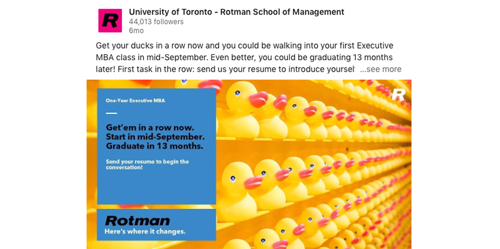Rotman_ducks1_1028x512.png