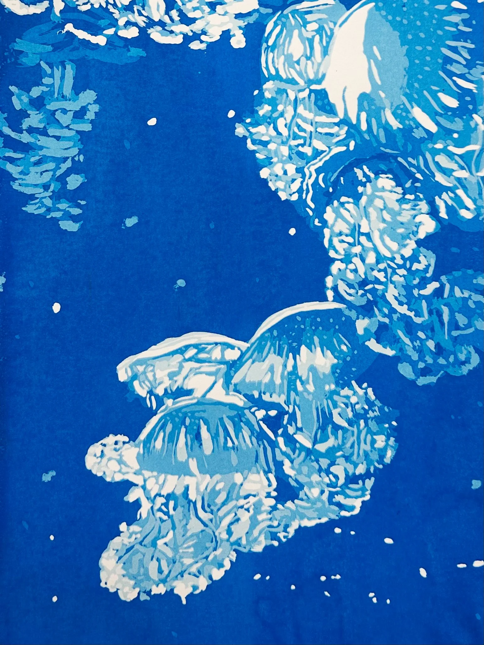 Jellies-2.jpg
