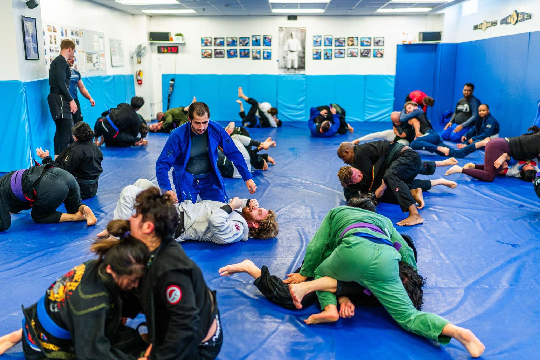 bjj-students-arlington-va3.jpeg