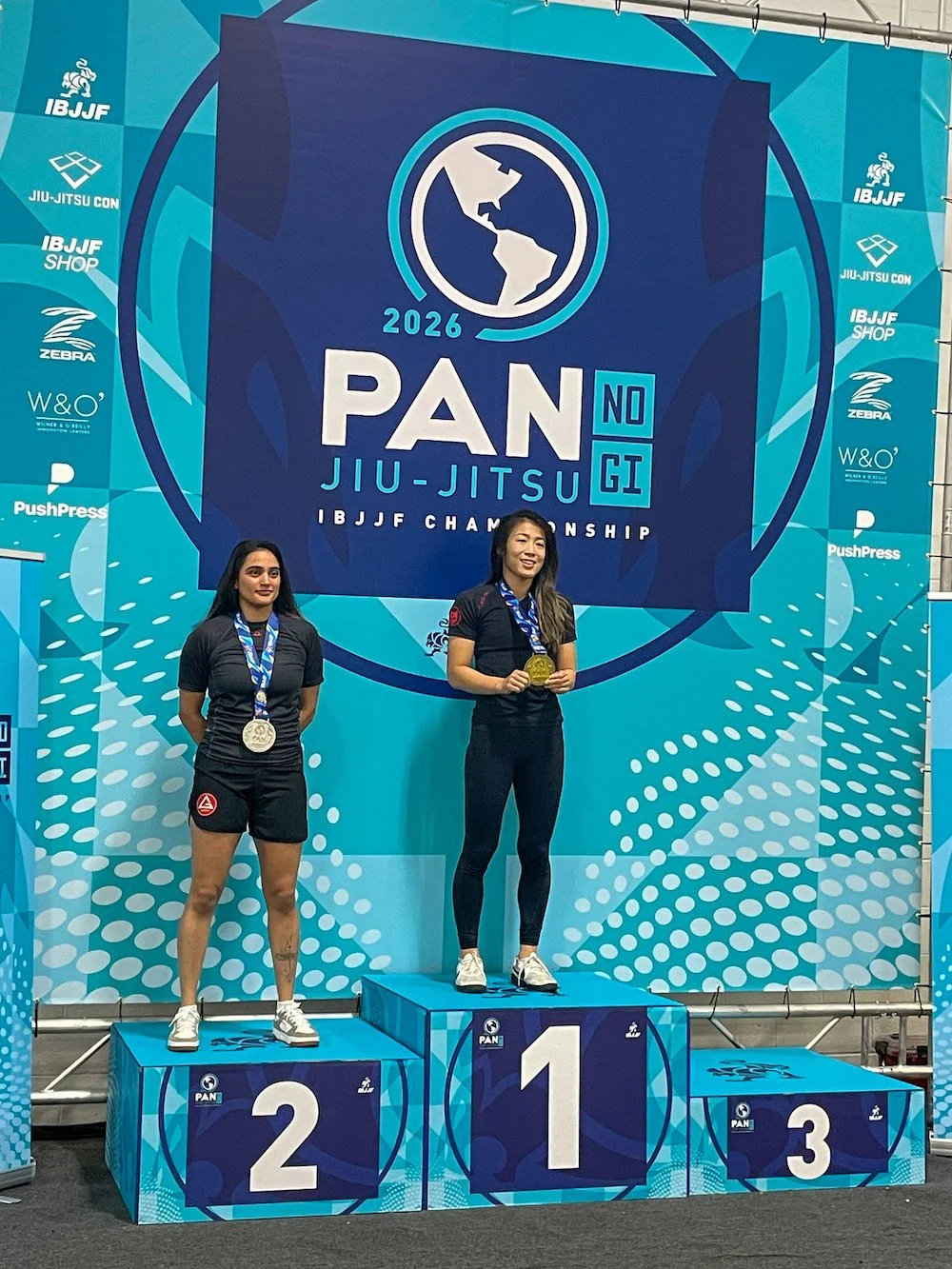 nogi-pans1.JPG