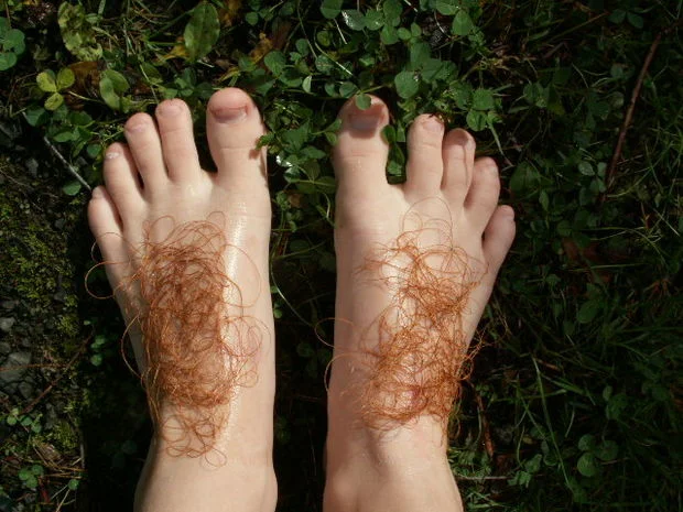hobbit feet.jpg