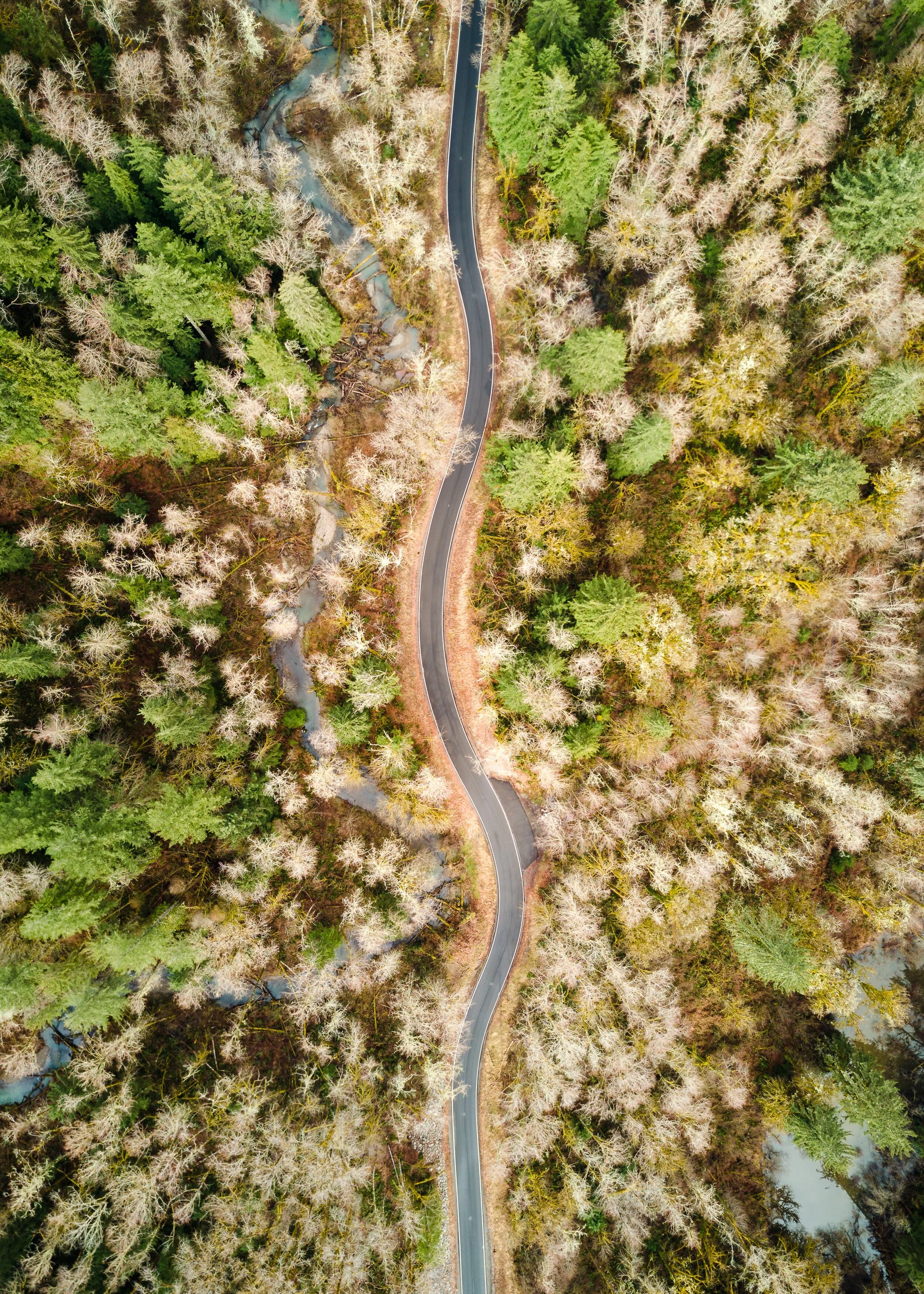 dave-hoefler-3HDErKNwZw0-unsplash.jpg