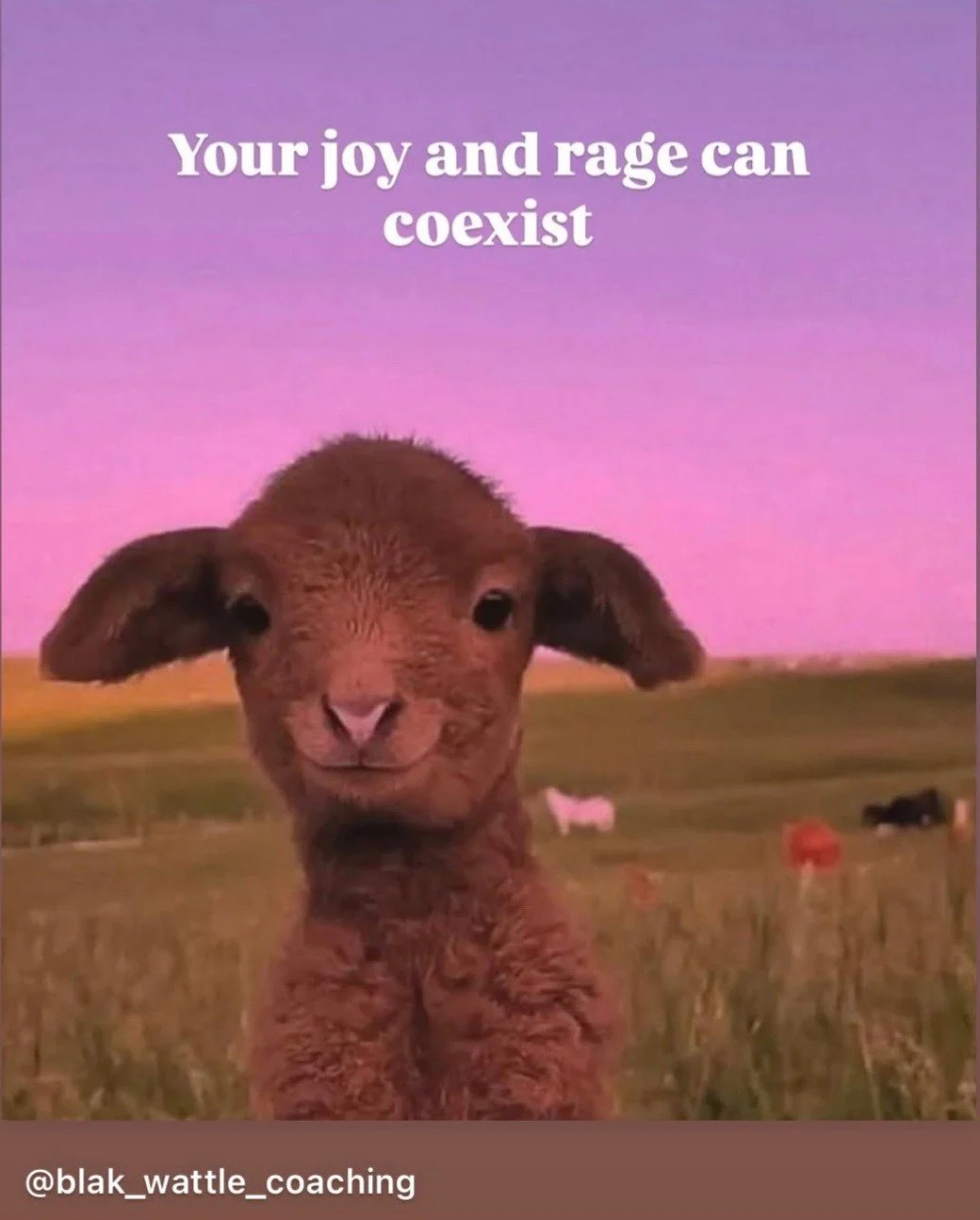 Safety, joy, and pleasure