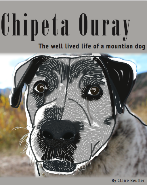 Biography book cover mockup.