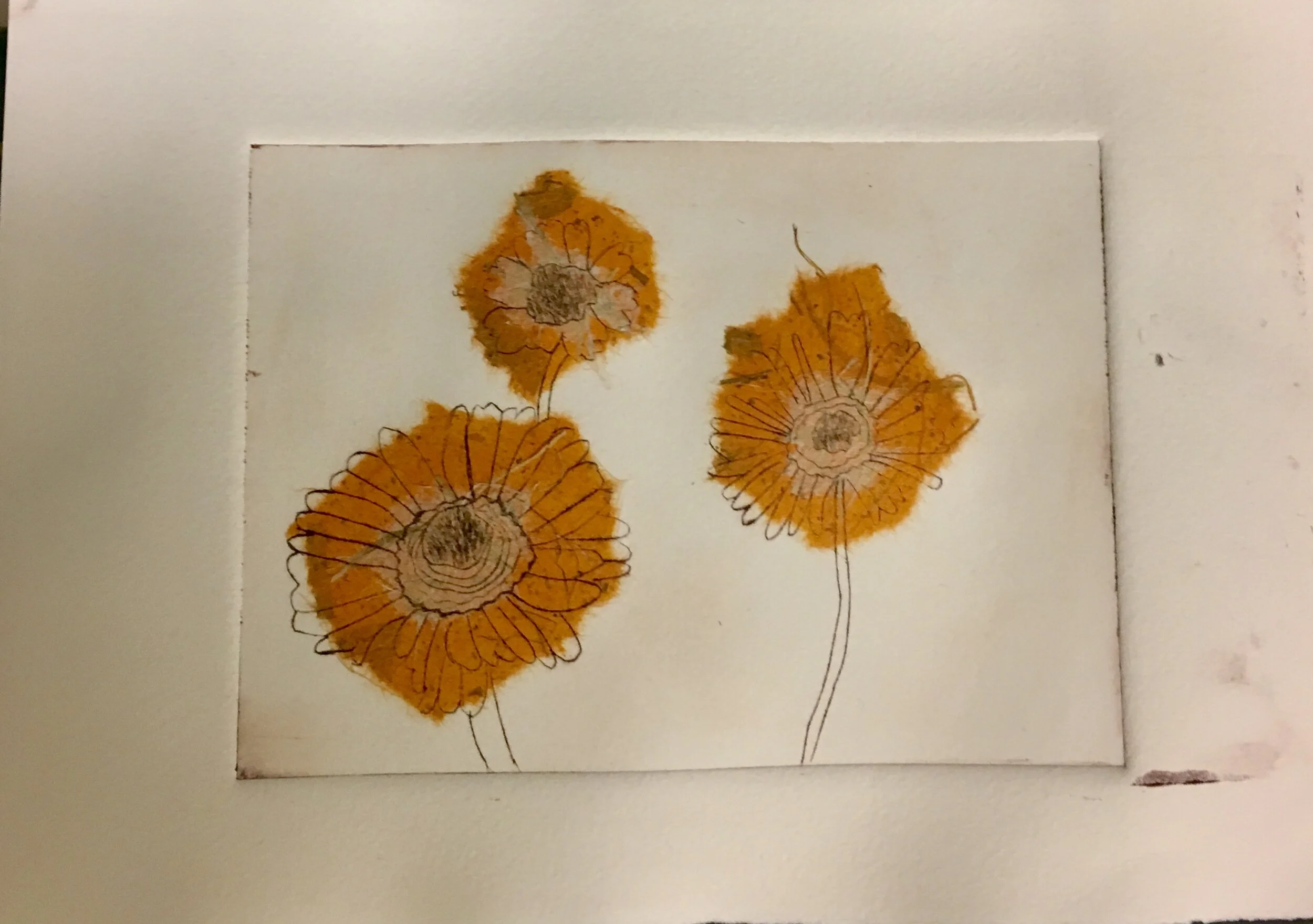 Flower Print.jpg