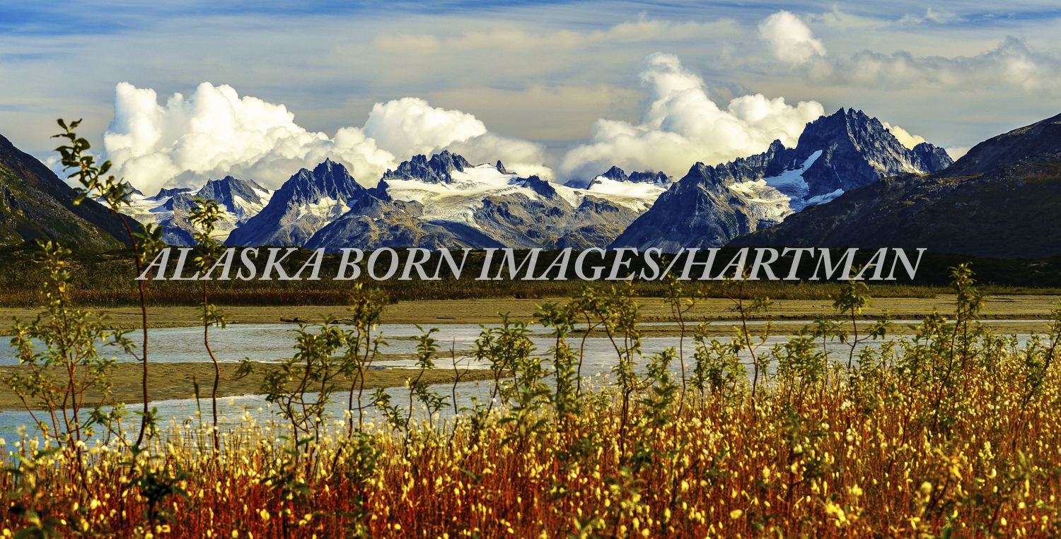 "HEADWATERS OF THE SKWENTNA RIVER" — ALASKA BORN IMAGESfine art prints
