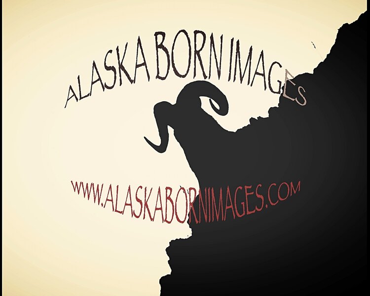 ALASKA BORN IMAGES