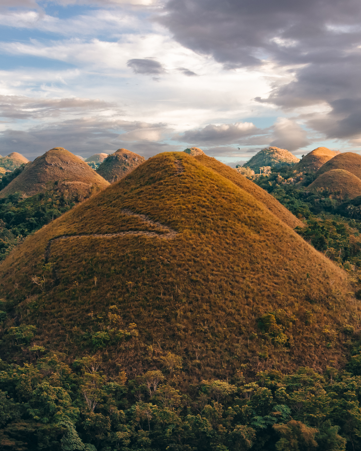 All You Need to Know About the Chocolate Hills in the Philippines