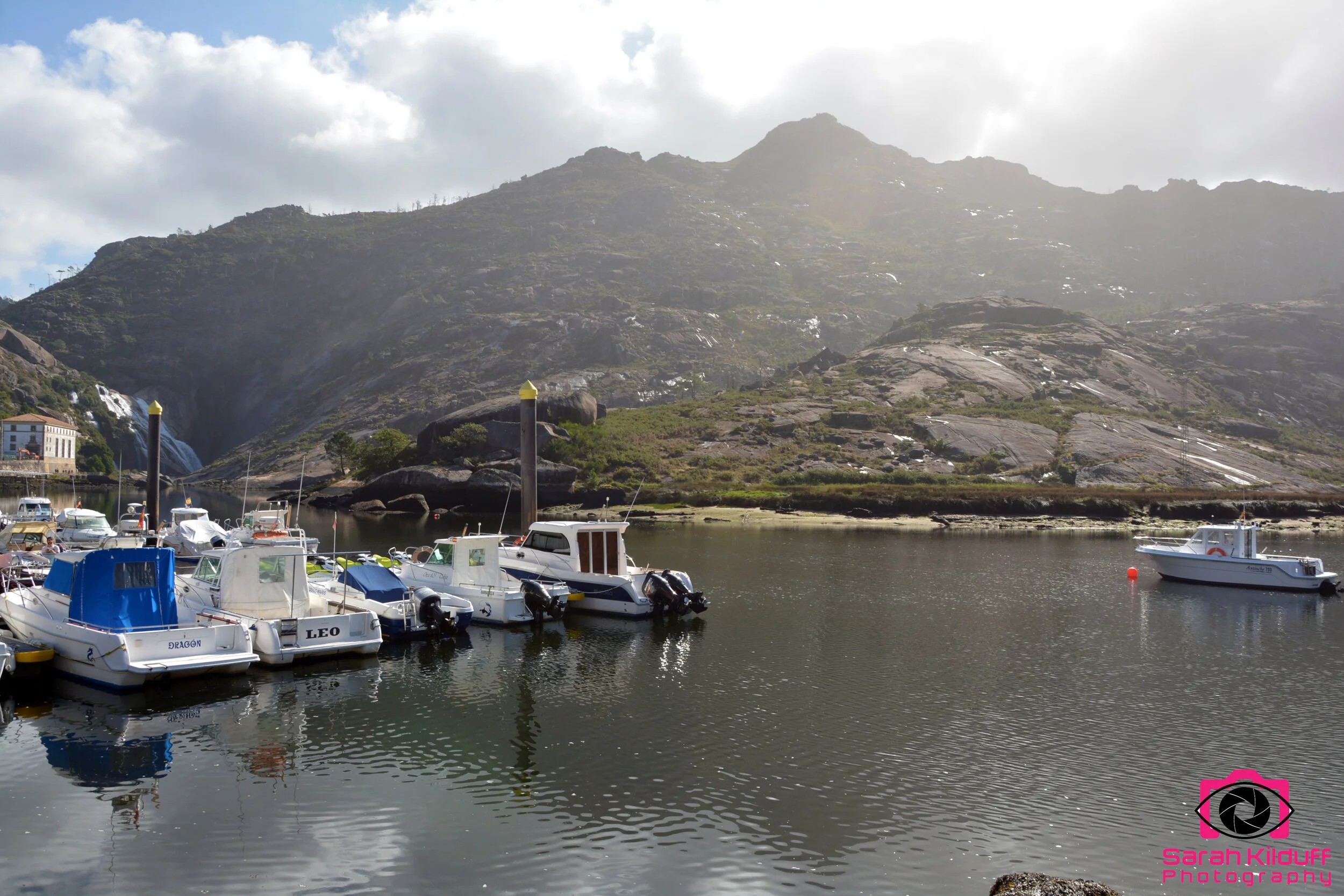 DSC_5956.jpg