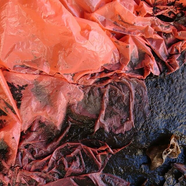 Spring... #plasticlivesforever #banplastic #raisingawareness #cleanup #apricot #salmon #banplasticbags #plasticpollutes #dresden #springtime #texture #surface