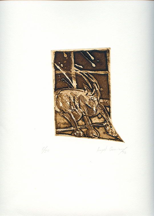 BICHAS05