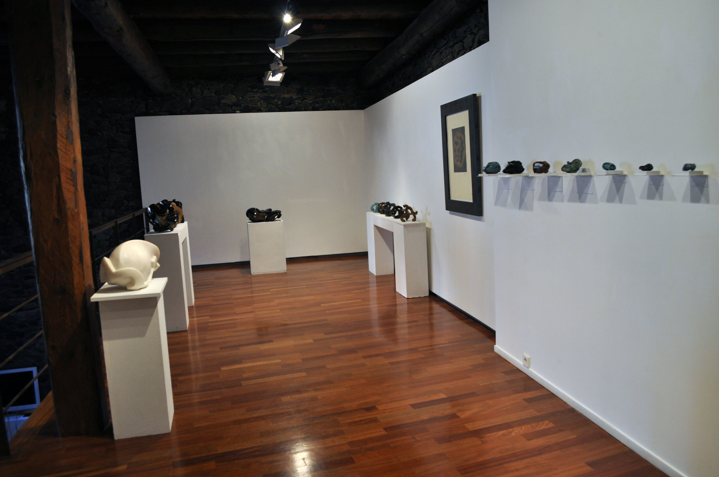 2015-Galeria Riberaygua