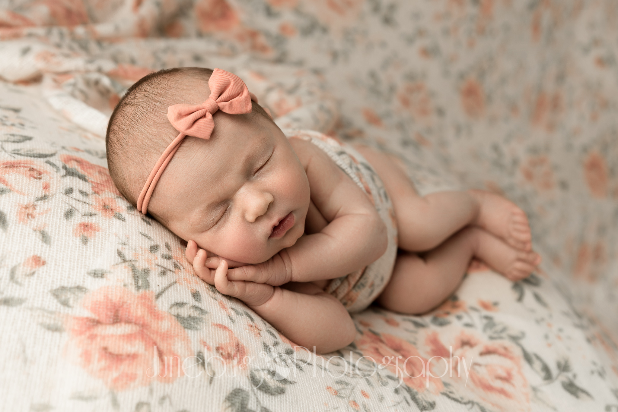 junebug-23.jpg