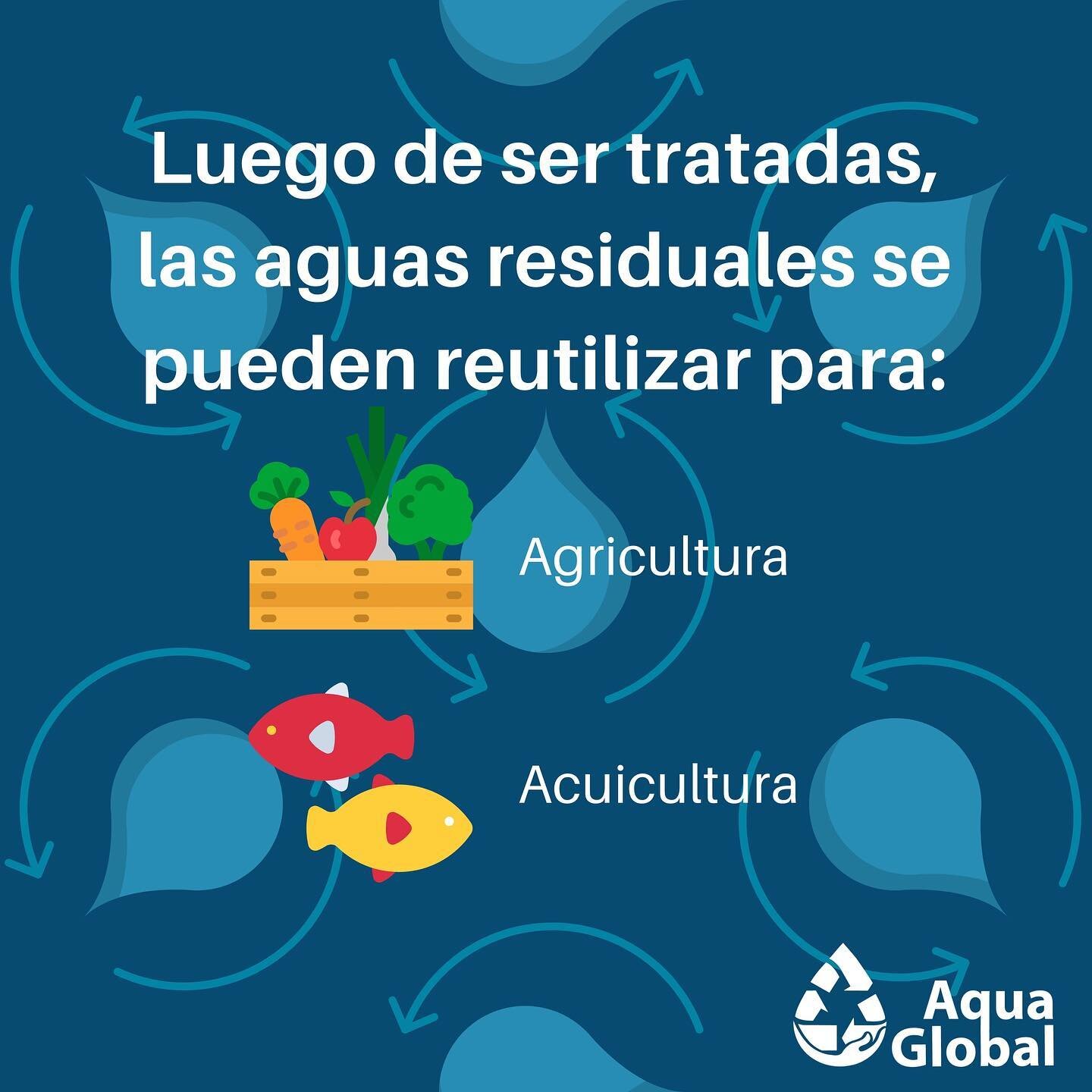 &iexcl;Las aguas residuales pueden ser reutilizadas! 💦 Luego de pasar por el proceso de limpieza, pueden ser utilizadas para diversas actividades como la agricultura y la acuicultura 🙌
.
.
#AquaGlobal #AguaPura #AguaPanam&aacute; #AguaLimpia