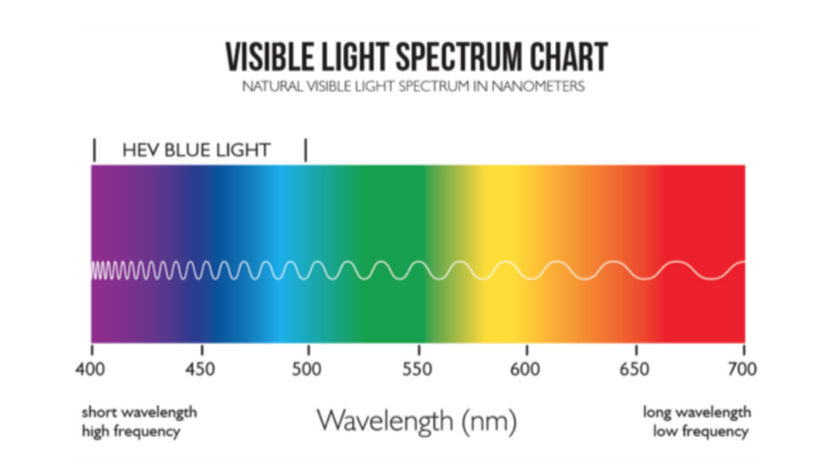 Photography Guide What Is Golden Hour & Blue Hour? Unscripted App