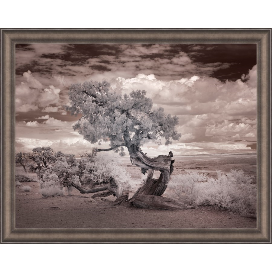 infrared of tree I.png