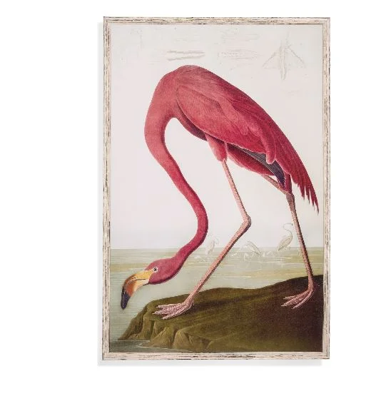 flamingo.JPG