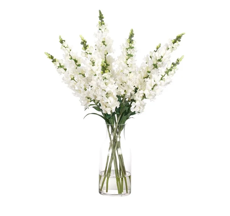 snapdragon.JPG