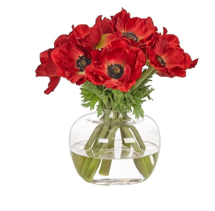 Red Anemone