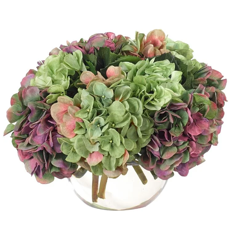 hudrangea purp green.JPG