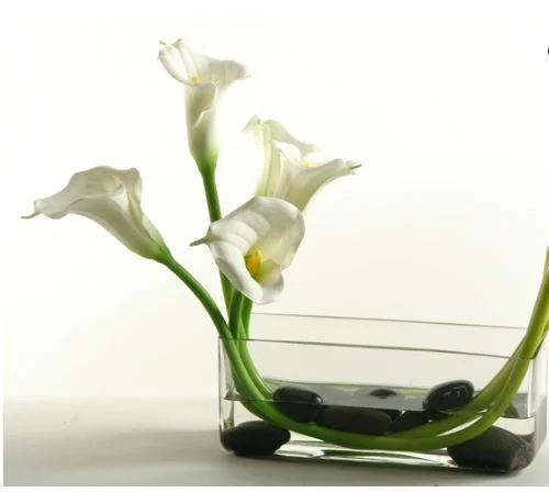 Calla LIllies in Glass