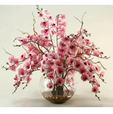 pink orchids.JPG